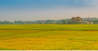 영농 경력 5년 쉽게 하는 법: 농지연금