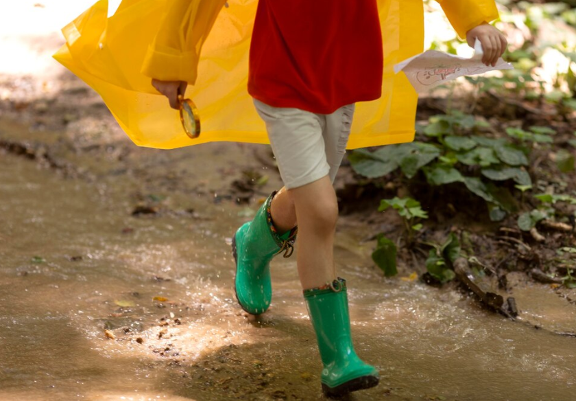 넷째주 (6월 17일 - 6월 23일)