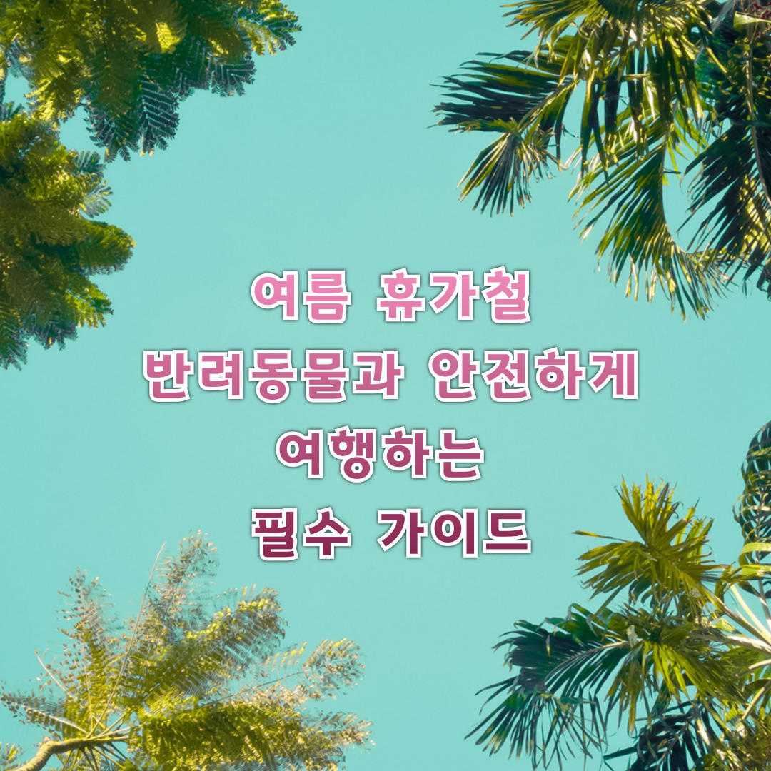 여름 휴가철 반려동물과 안전하게 여행하는 필수 가이드