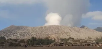 서리 발생 시기 농작물 보온 비닐 덮기 텃밭 관리_17