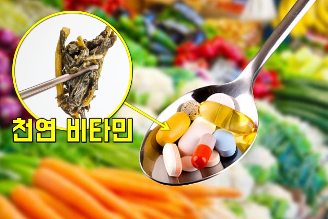 시래기 효능 집에서 만들어 먹는 천연 종합비타민, 생활 건강 팁줌 매일꿀정보