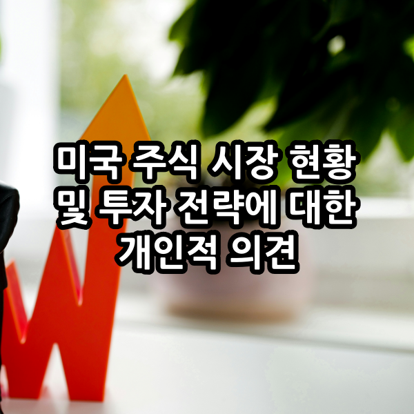 미국 주식 시장 현황 및 투자 전략에 대한 개인적 의견