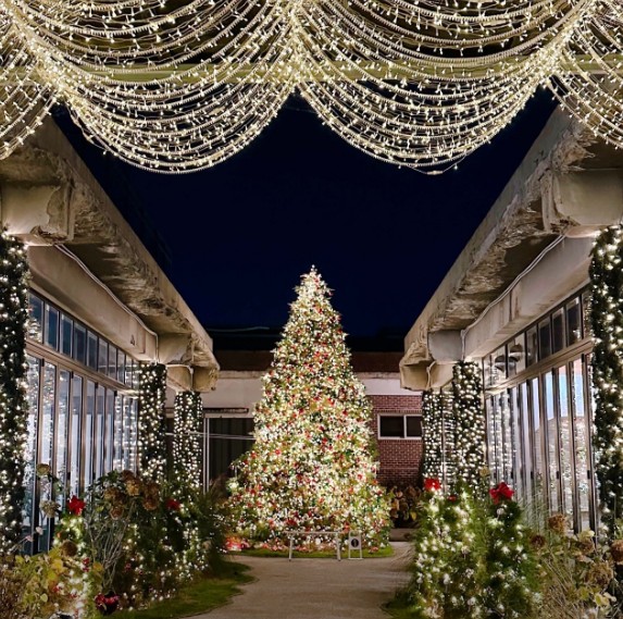 서울 근교 크리스마스트리 예쁜 카페 Best 5