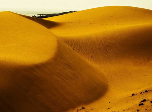 9월 베트남 무이네 여행 날씨와 사막투어, 리조트 및 카페, 맛집 가이드