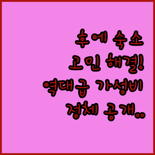 후에 숙소 고민 끝! 실제 투숙객이 ..