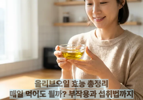 올리브오일 효능 총정리|매일 먹어도 될까? 부작용과 섭취법까지