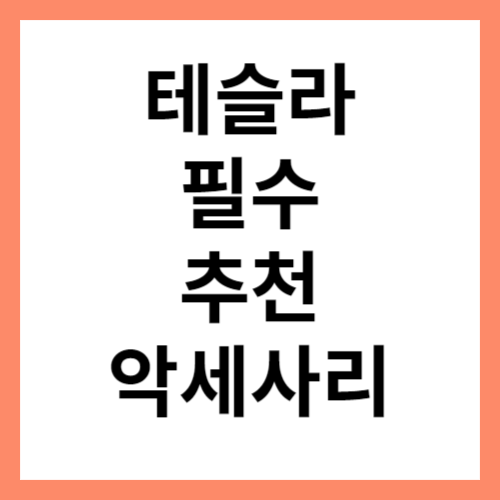 테슬라 추천 악세사리 섬네일