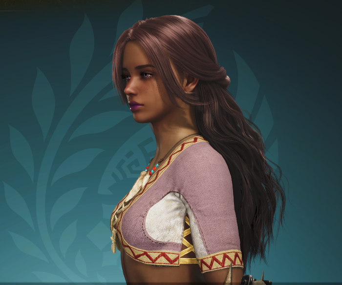 몬스터헌터와일즈-커스터마이징