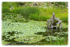 안동호반 자연휴양림 