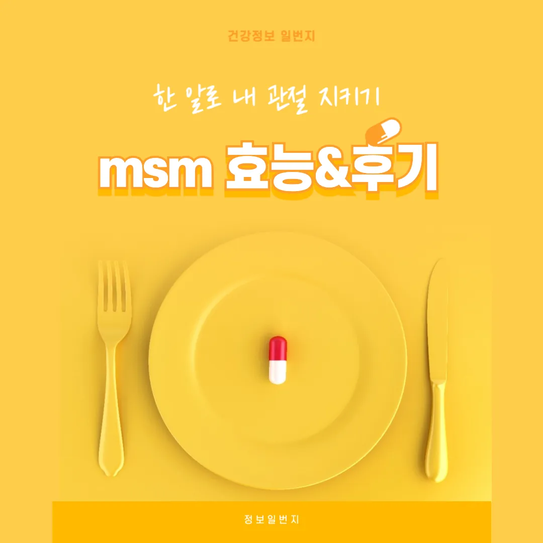 MSM-MSM효능-관절영양제-피부건강-염증완화-MSM후기-관절통개선-피부탄력