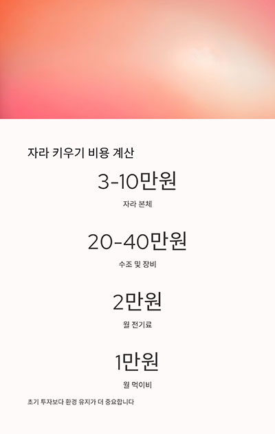 비용은 얼마나 들까요?