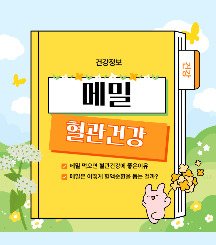 메밀 혈관 건강에 좋은이유