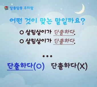 단출하다 단촐하다 맞춤법 사용 예시_24