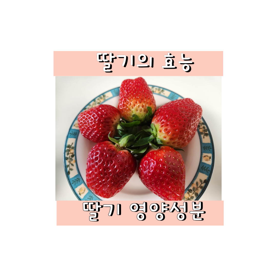 딸기의효능 영양성분