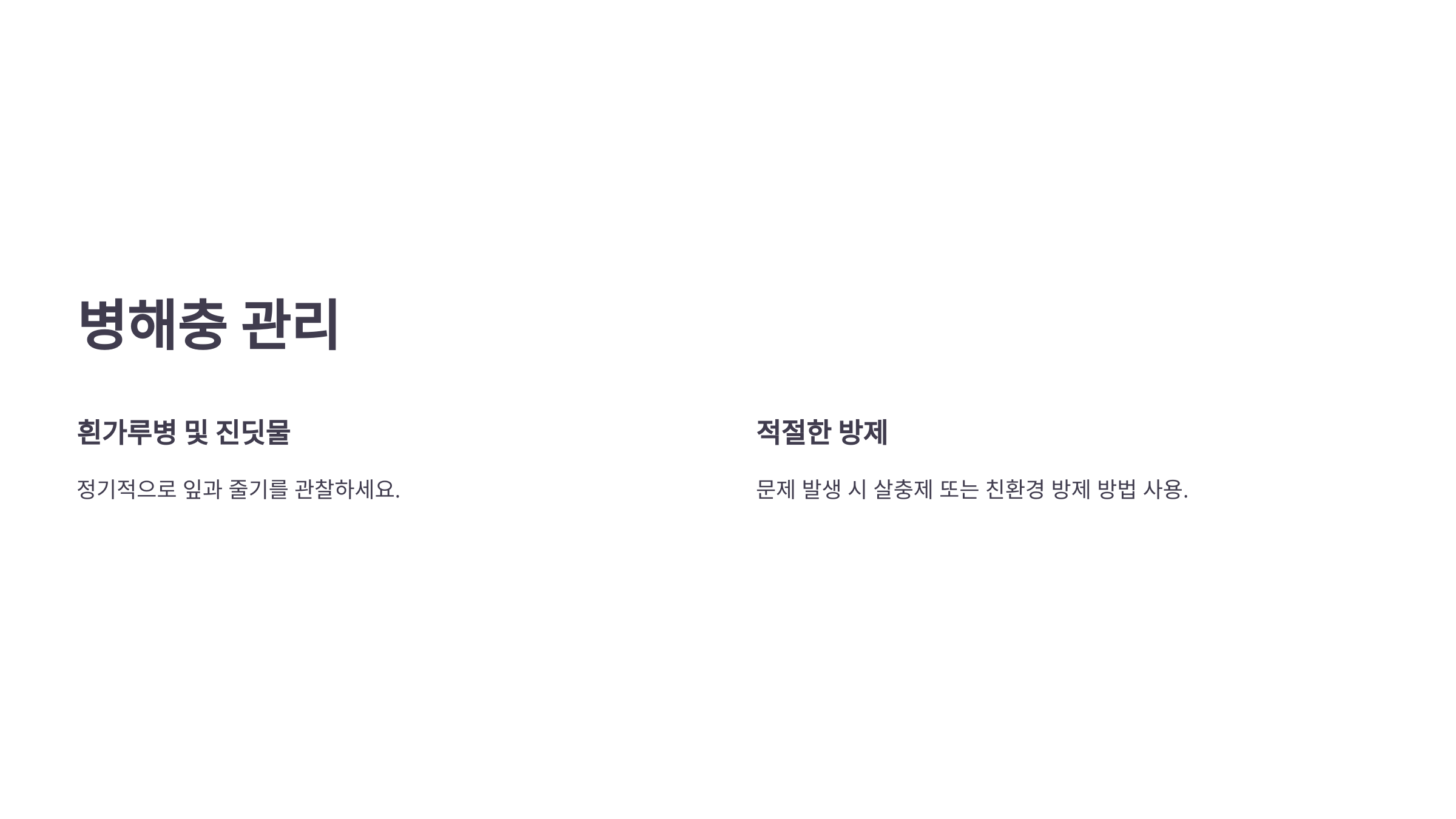 카라꽃 사진입니다.