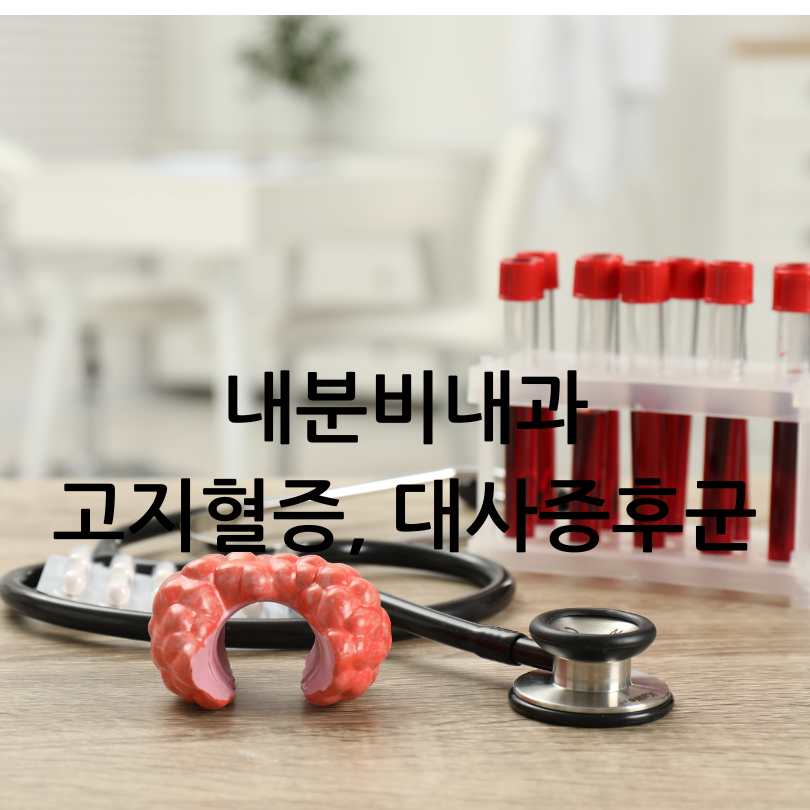 내분비내과 진료과목