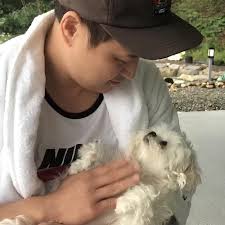 나혼자산다 구성환 꽃분이 애견 펫 드라이기 추천템