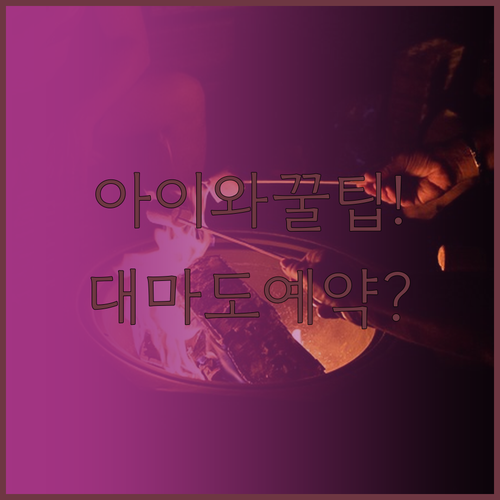 아이와 대마도 여행 배 예약 준비물부..