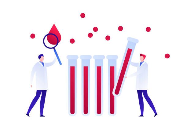 Total Protein 수치