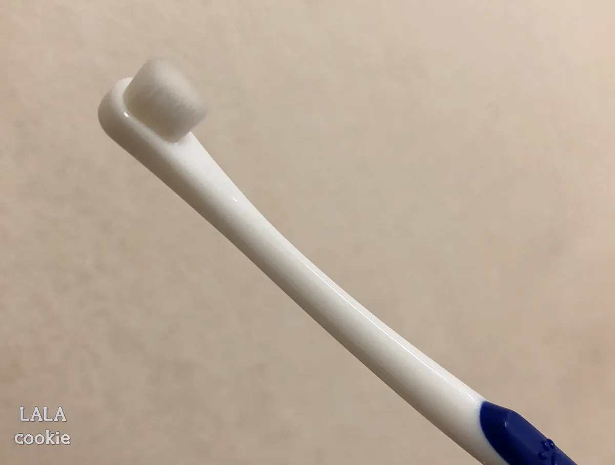 고양이-칫솔-헤드-모양