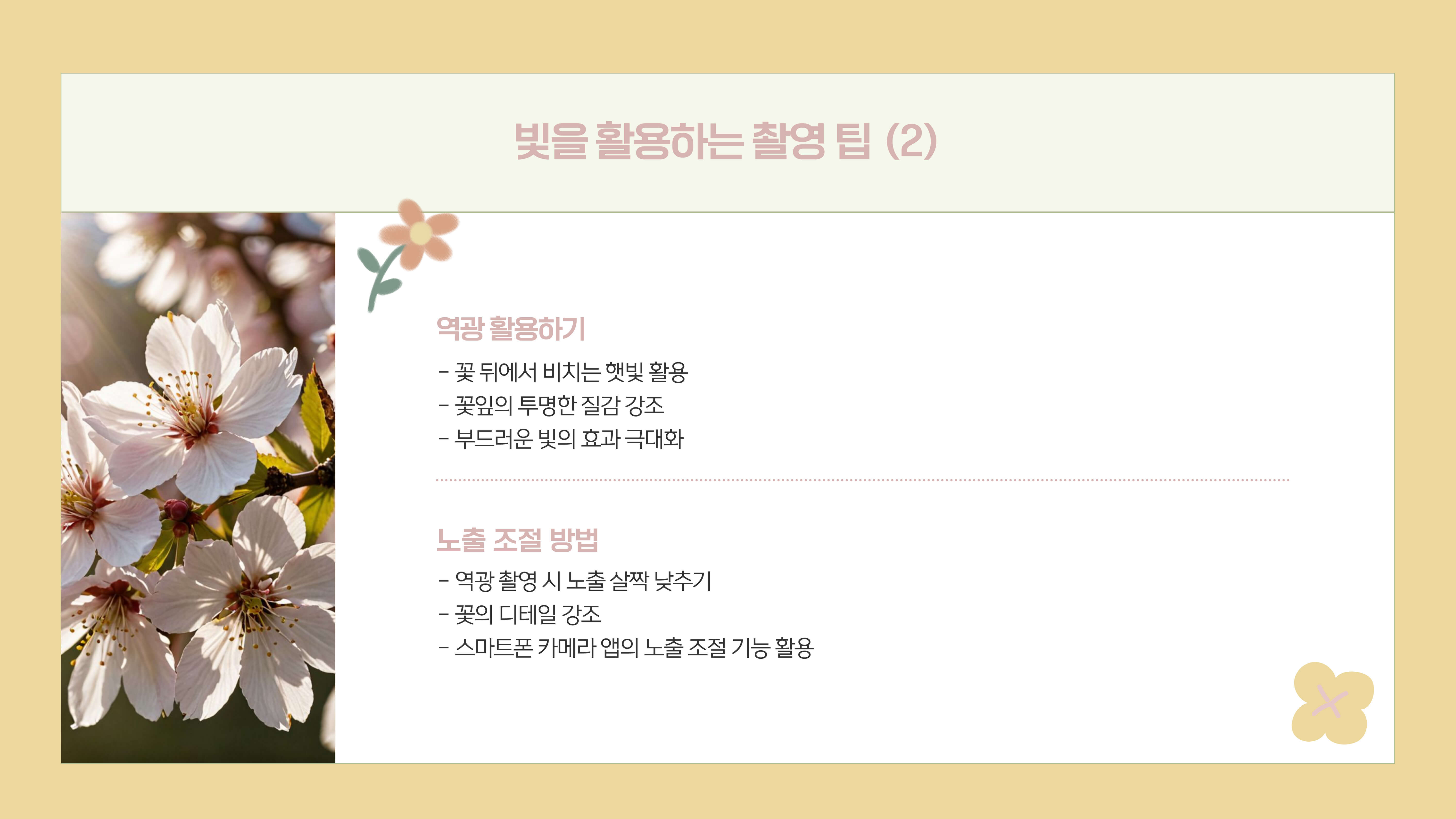 화담숲 봄꽃 사진 촬영 팁