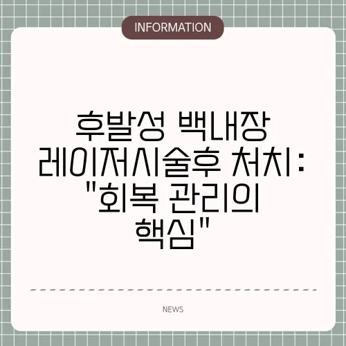 후발성 백내장 레이저시술후 처치: 