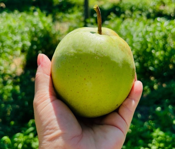 전남 강진 그린시스