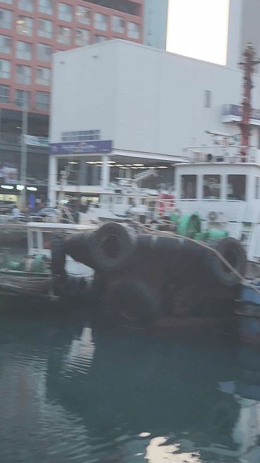 주변_풍경