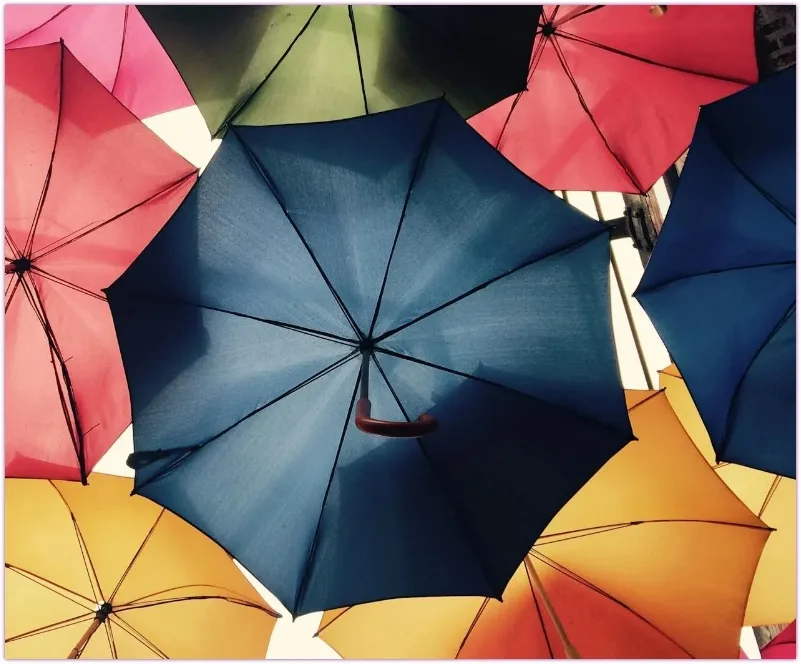 상위 10% 건강보험료