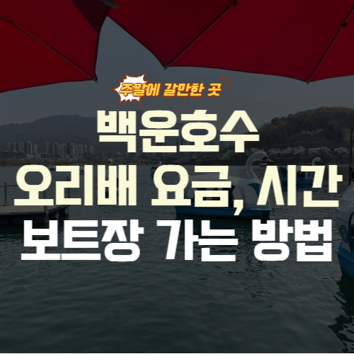 백운호수 오리배