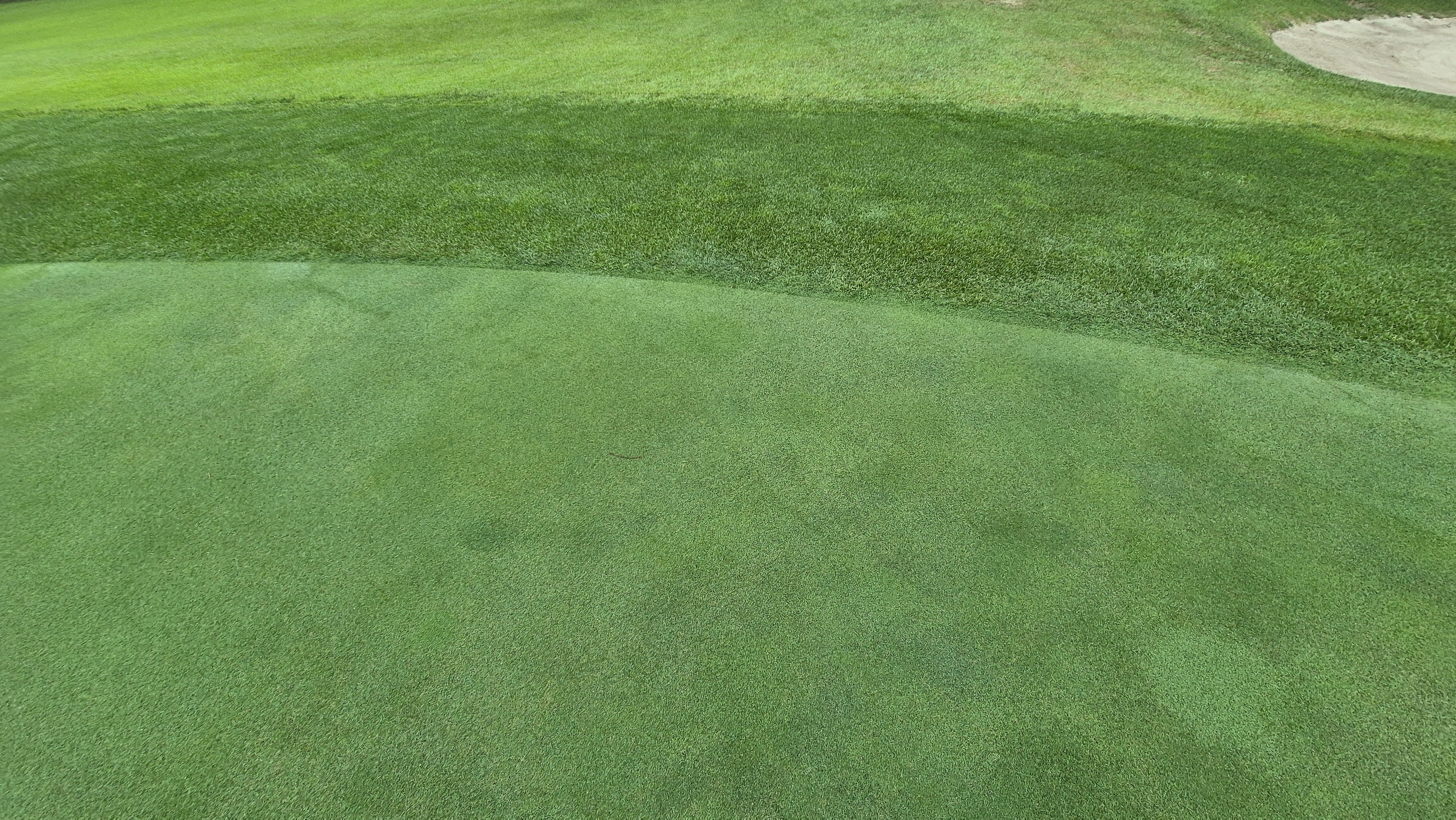 뉴스프링빌cc 라운드 후기