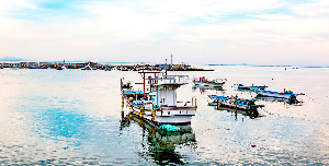 속초 가볼만한곳 동명항