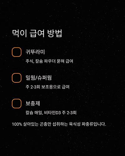 먹이 급여 방법