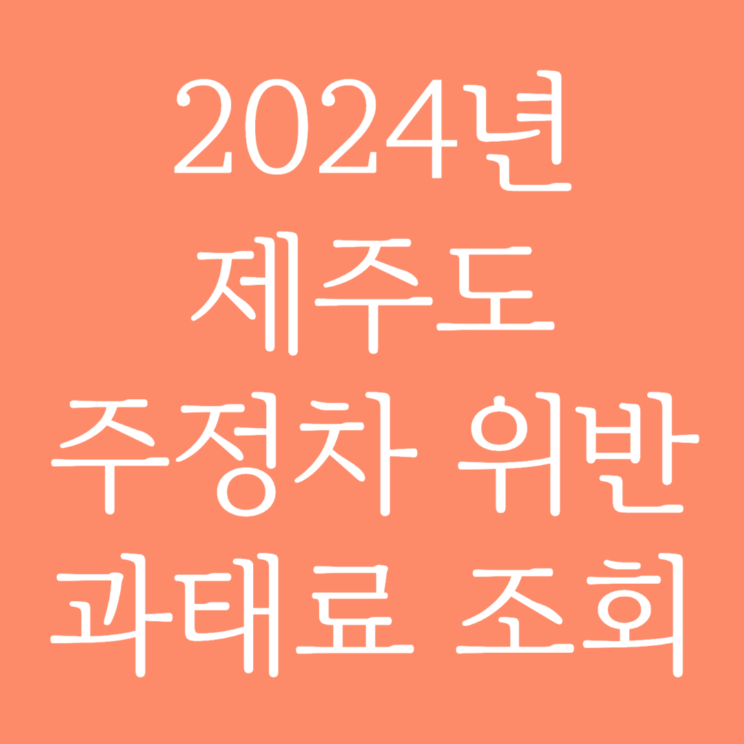 2024년 제주도 주정차 위반 과태료 조회하기