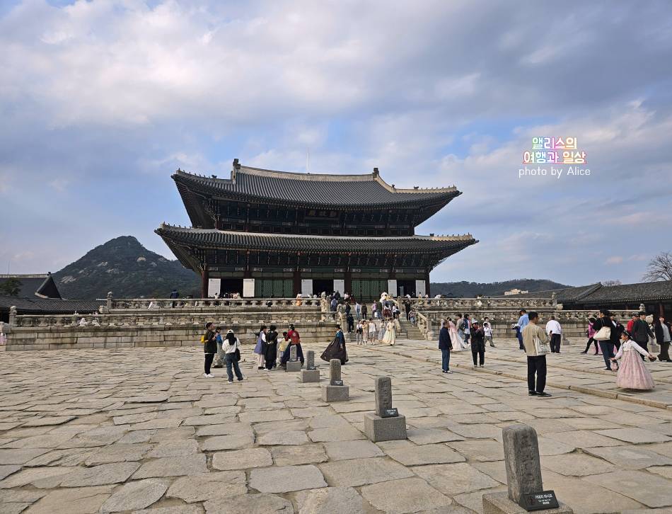 서울 벚꽃 명소 나들이 추천 경복궁, 덕수궁 4월 개화 상황 서울 가볼만한곳