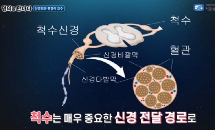 명의-김치헌교수