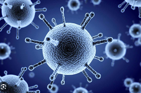 저렴한병원찾기-독감 바이러스