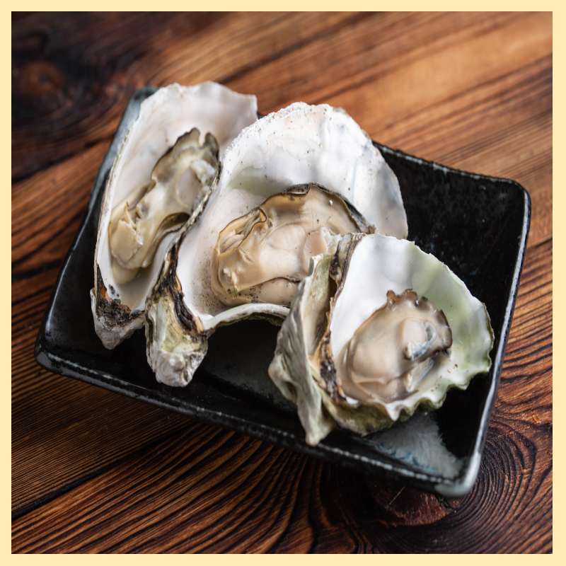 굴 효능 굴과 석화 차이