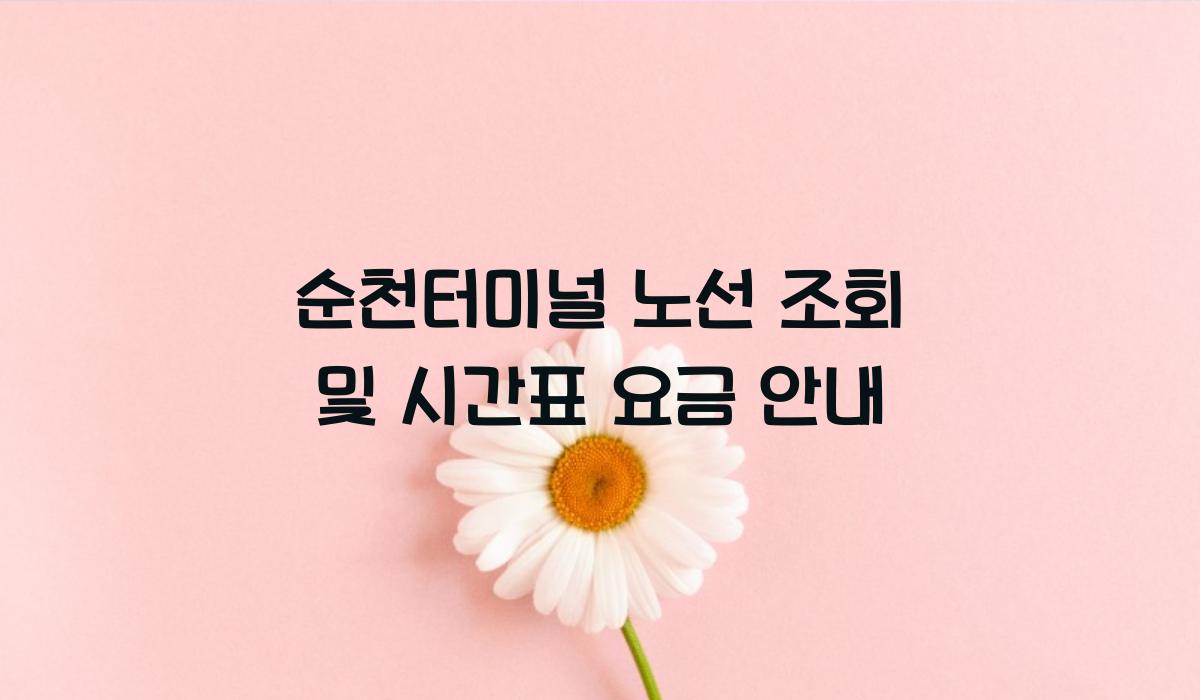 순천터미널 노선 조회