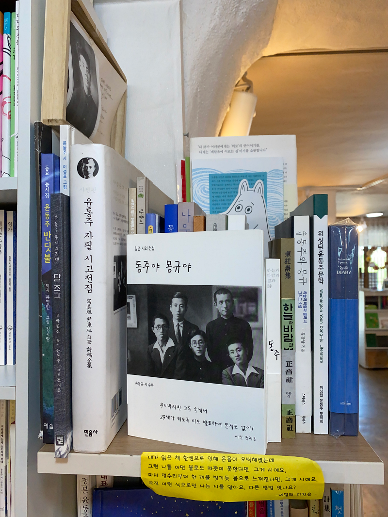 윤동주시인에 관한 책을 모아두었다