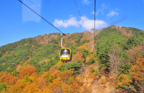 팔공산 케이블카