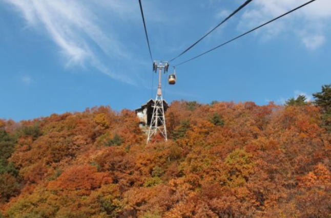 2025 팔공산 단풍 절정 시기 공개! 초보자도 즐기는 가을 등산코스 BEST