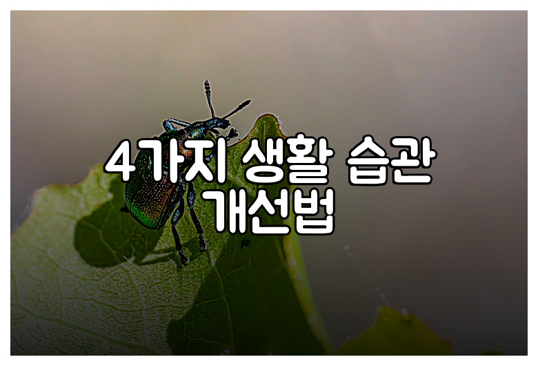 4가지 생활 습관 개선법