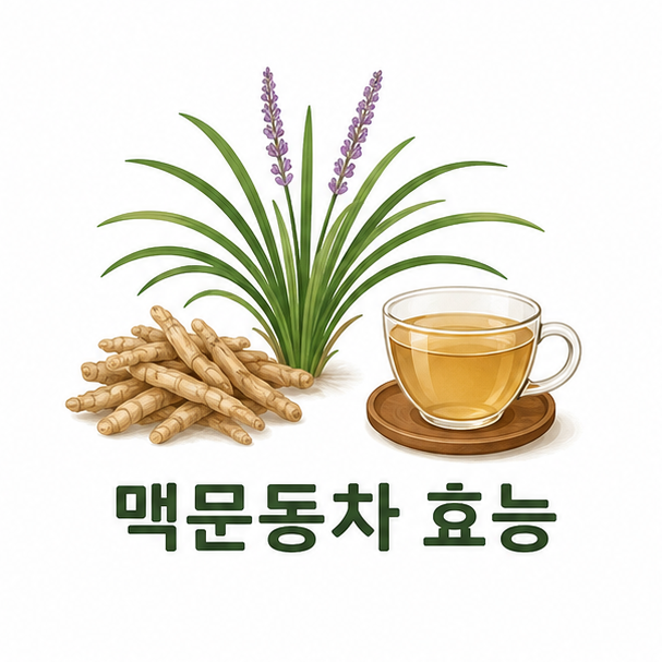 맥문동 식물과 덩이뿌리, 따뜻한 찻잔으로 표현한 맥문동차 효능