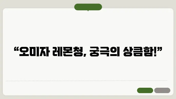 오미자 레몬청