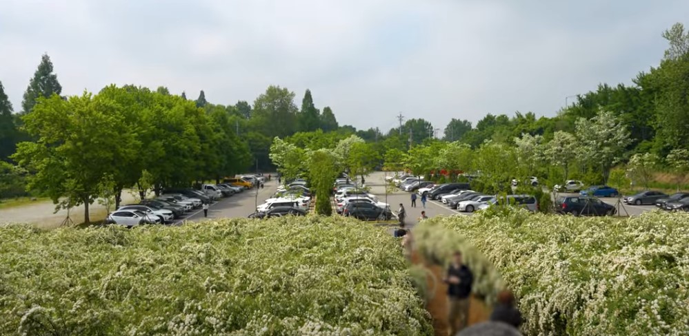 5월에 꼭 가봐야 할 적국 봄꽃 명소