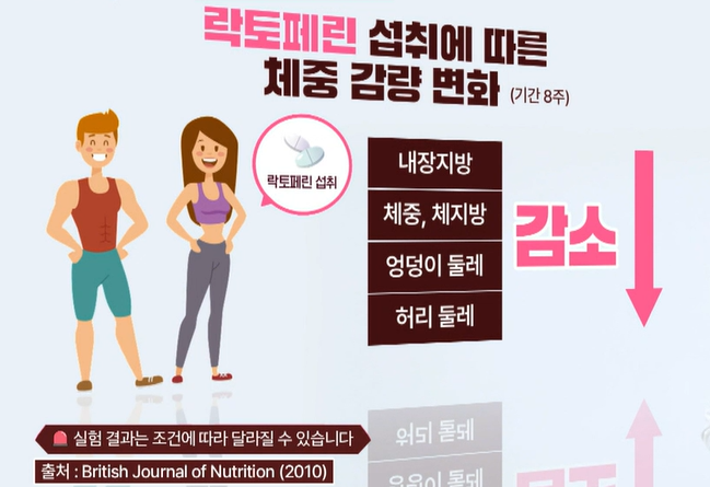 락토페린 효능