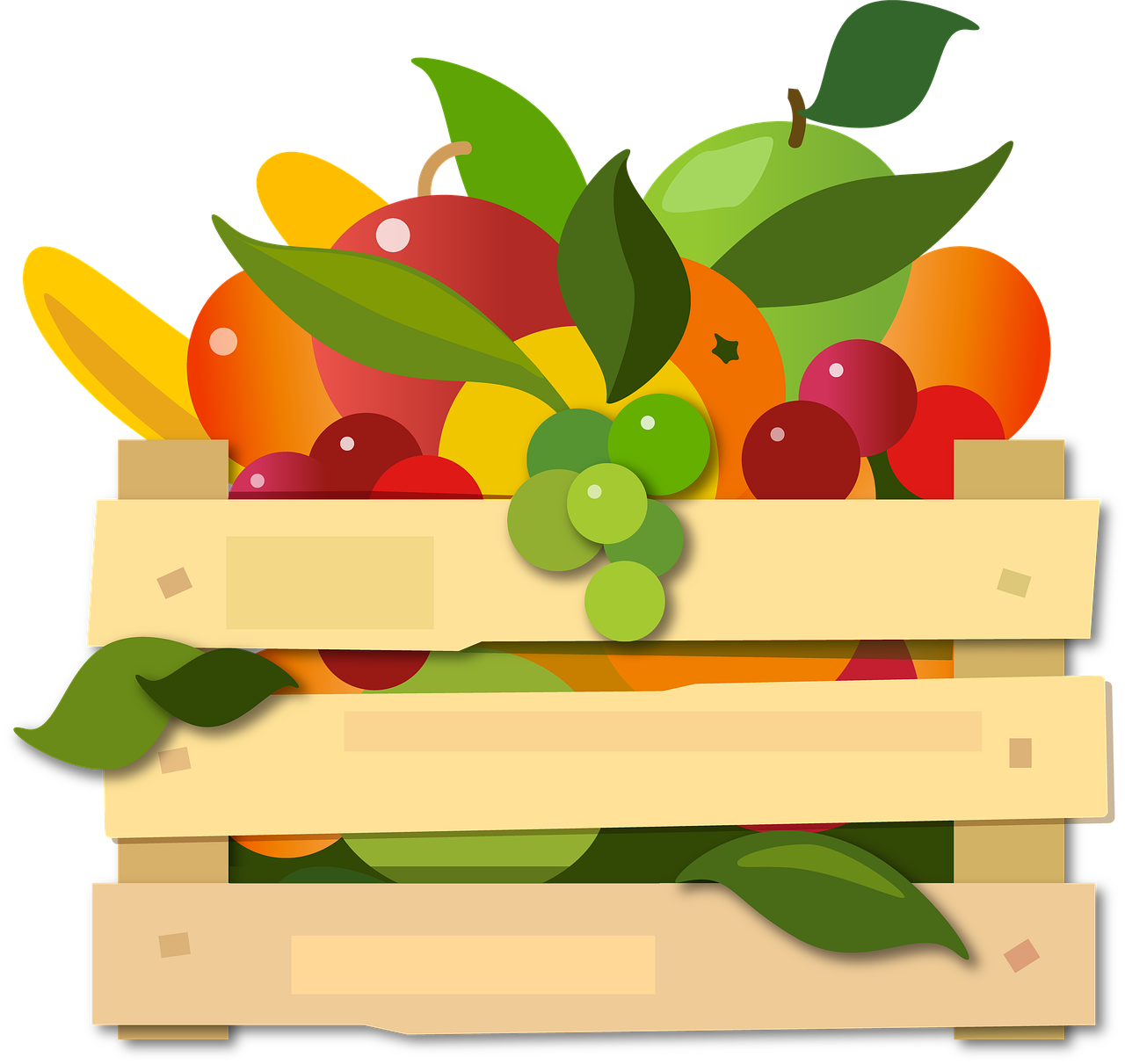 스마트 수직농장 자동화 기술 맞춤형 작물 재배