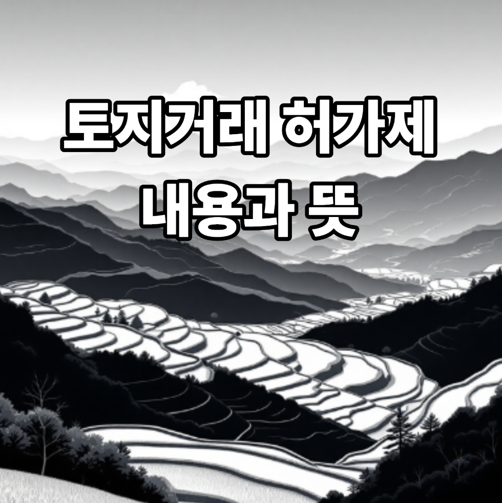 토지거래 허가제