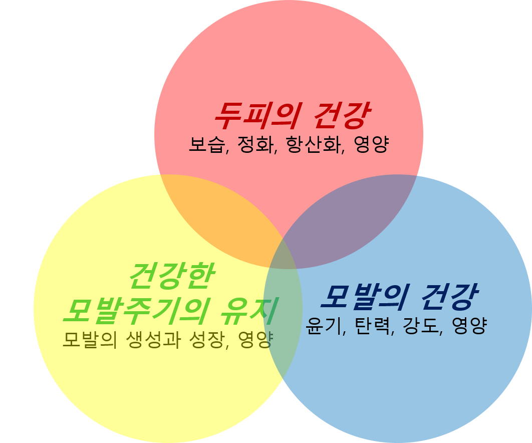 탈모두피